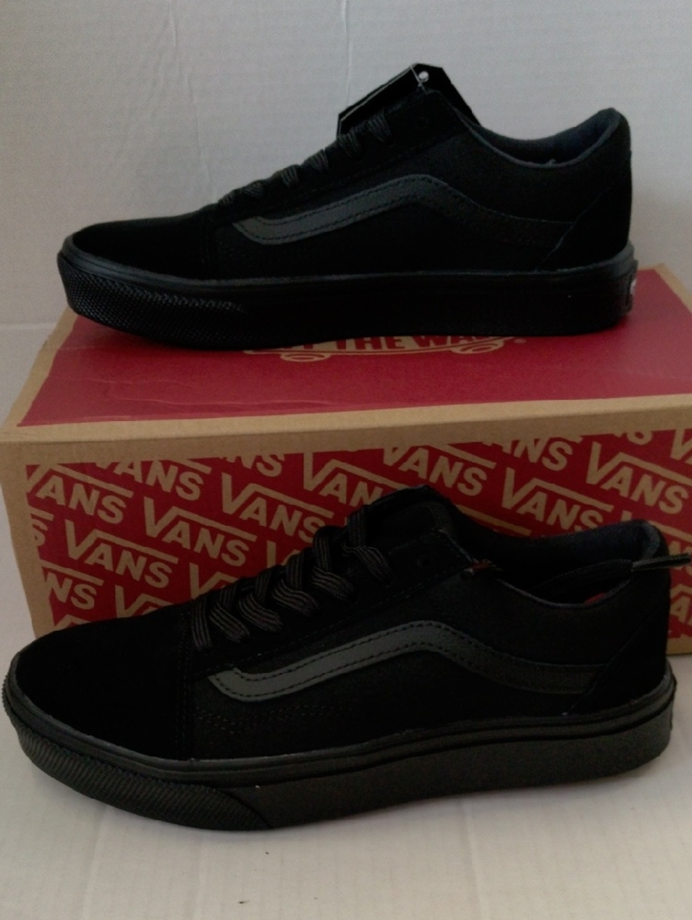Vans Black Low Top Skate Sneakers